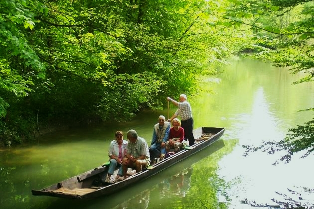 Bild 068.jpg - Eine geführte Kahnfahrt auf der verzweigten Flußlandschaft des Naturschutzgebietes Taubergießen